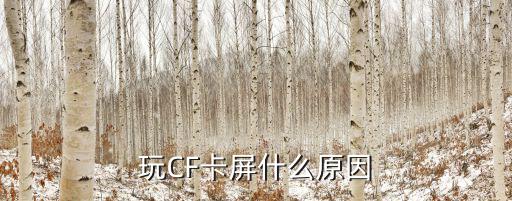 玩cf手游屏幕卡住怎么回事，玩CF卡屏什么原因