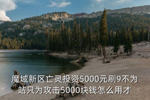 魔域新区亡灵投资5000元刷9不为站只为攻击5000块钱怎么用才