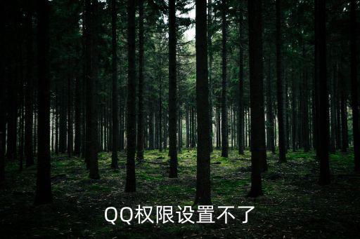 QQ权限设置不了