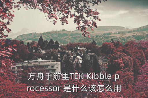 方舟手游工业大锅怎么不能炸，方舟手游里TEK Kibble processor 是什么该怎么用