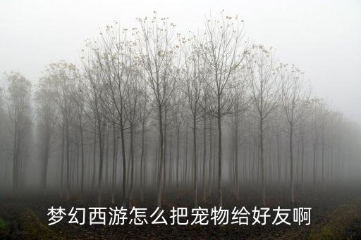 梦幻西游怎么把宠物给好友啊