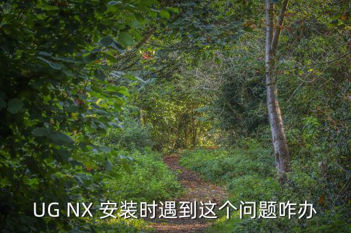 UG NX 安装时遇到这个问题咋办