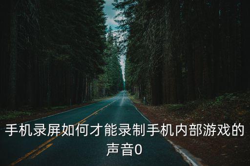 手机录屏如何才能录制手机内部游戏的声音0