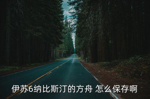 伊苏6纳比斯汀的方舟 怎么保存啊