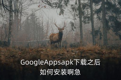 GoogleAppsapk下载之后如何安装啊急