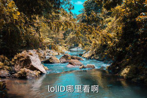 lolID哪里看啊