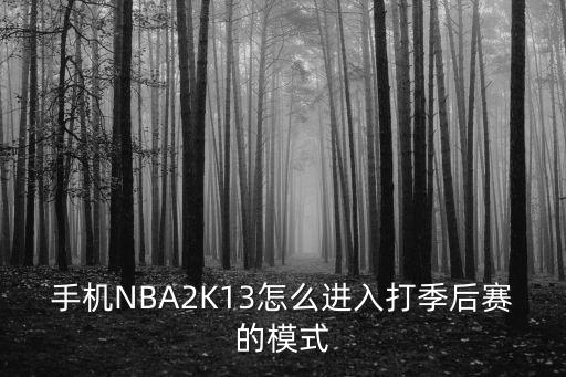 手机NBA2K13怎么进入打季后赛的模式