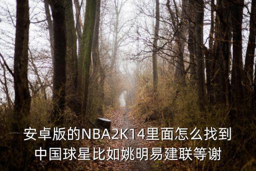 安卓版的NBA2K14里面怎么找到中国球星比如姚明易建联等谢