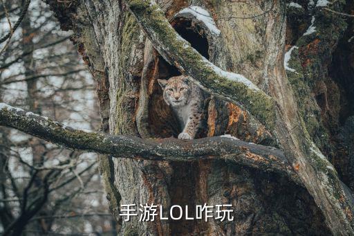 手游LOL咋玩