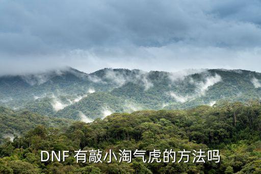 DNF 有敲小淘气虎的方法吗