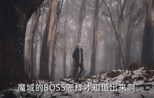 魔域的BOSS怎样才知道出来啊