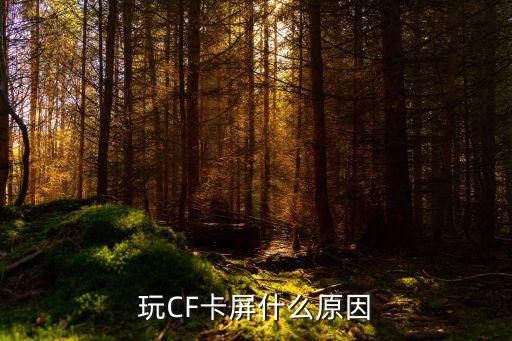 玩CF卡屏什么原因