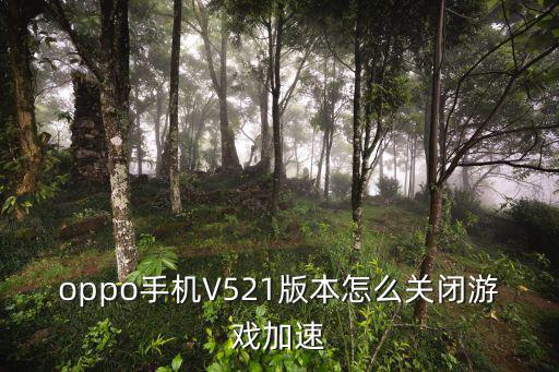 oppo手机V521版本怎么关闭游戏加速