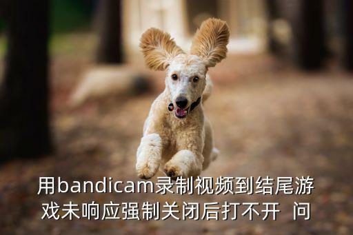 用bandicam录制视频到结尾游戏未响应强制关闭后打不开  问