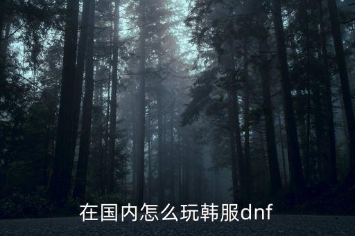 在国内怎么玩韩服dnf