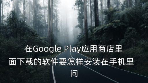 在Google Play应用商店里面下载的软件要怎样安装在手机里  问