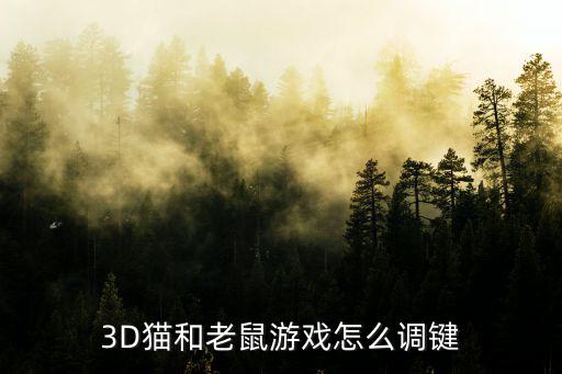 3D猫和老鼠游戏怎么调键