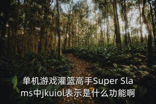 单机游戏灌篮高手Super Slams中jkuiol表示是什么功能啊