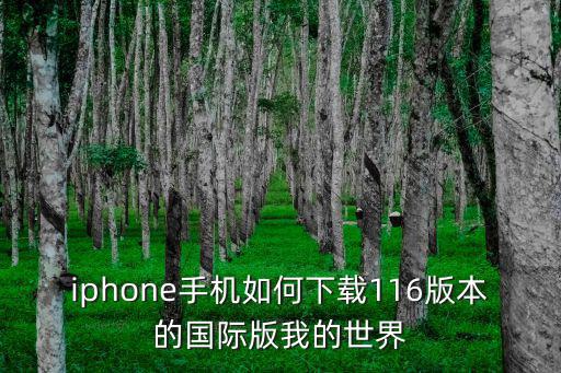 iphone手机如何下载116版本的国际版我的世界