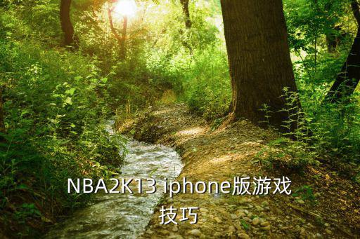 NBA2K13 iphone版游戏技巧