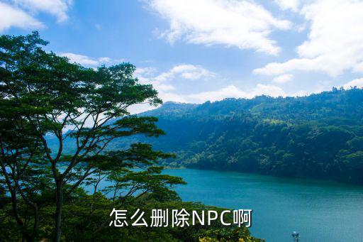 怎么删除NPC啊