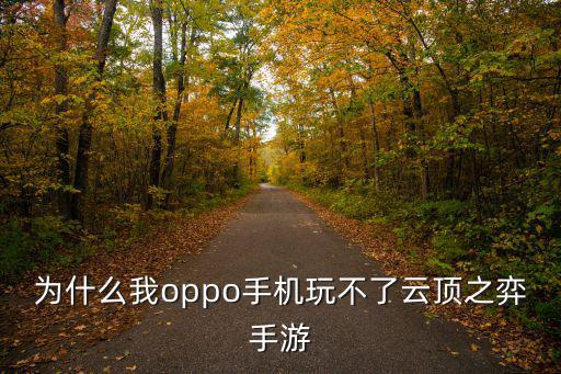 为什么我oppo手机玩不了云顶之弈手游