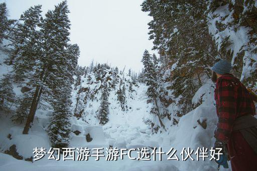 梦幻西游手游FC选什么伙伴好