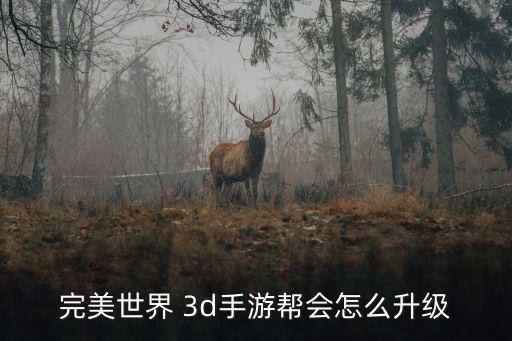 完美世界 3d手游帮会怎么升级