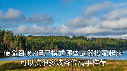 使命召唤7僵尸模式哪些武器搭配起来可以抗很多波各位高手推荐