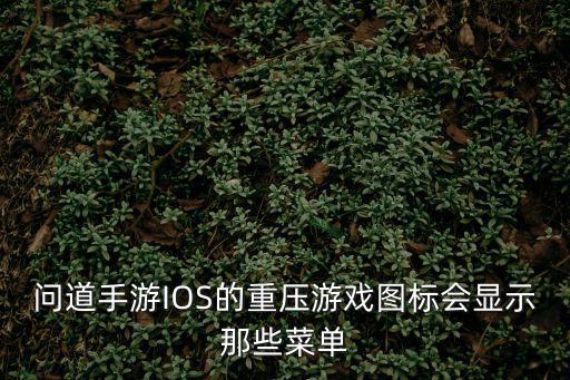 问道手游IOS的重压游戏图标会显示那些菜单