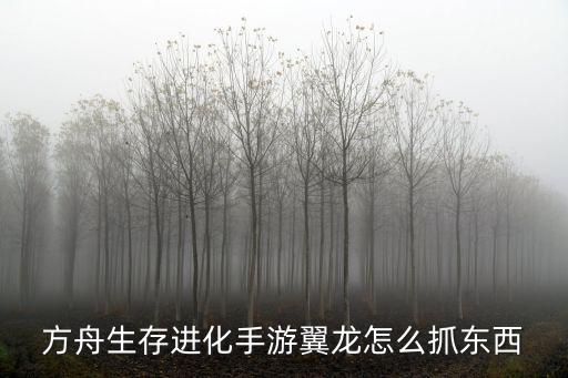 方舟手游怎么弄出东西，方舟手游在哪里卖东西