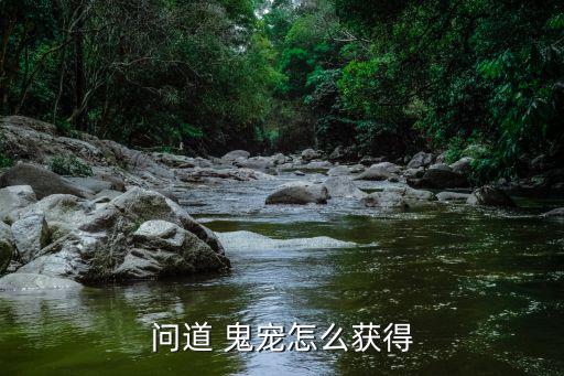 问道 鬼宠怎么获得