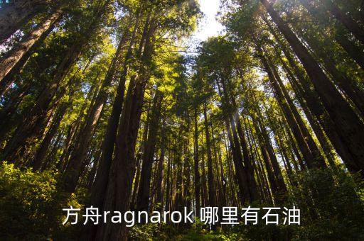 方舟手游怎么批量采集石油，方舟ragnarok 哪里有石油