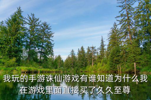 我玩的手游诛仙游戏有谁知道为什么我在游戏里面直接买了久久至尊