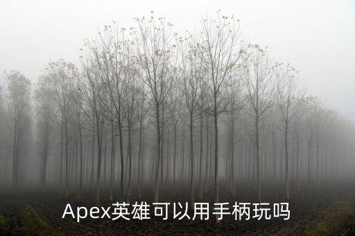 Apex英雄可以用手柄玩吗