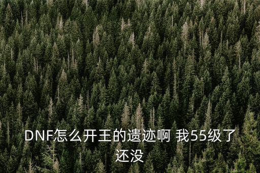 DNF怎么开王的遗迹啊 我55级了还没