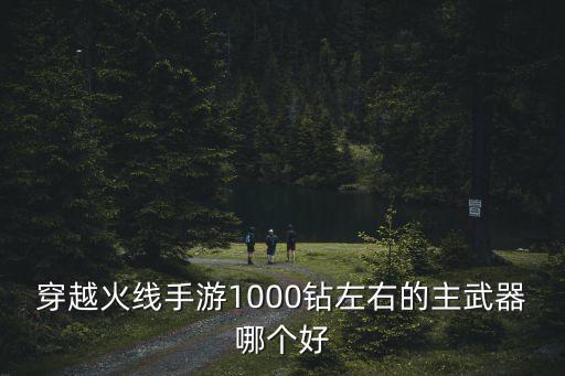 穿越火线手游1000钻左右的主武器哪个好