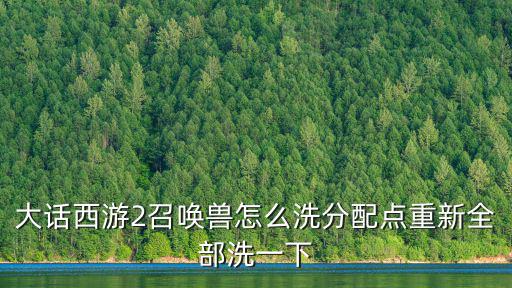 大话手游召唤兽怎么重新洗点，大话西游2召唤兽怎么洗分配点重新全部洗一下