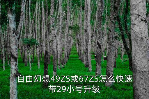 自由幻想49ZS或67ZS怎么快速带29小号升级