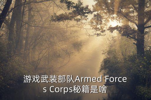 游戏武装部队Armed Forces Corps秘籍是啥