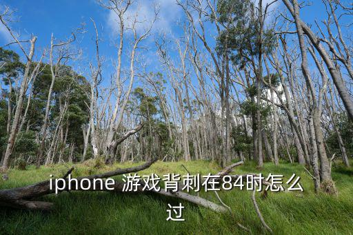 iphone 游戏背刺在84时怎么过