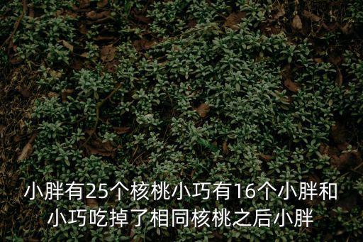 小胖有25个核桃小巧有16个小胖和小巧吃掉了相同核桃之后小胖