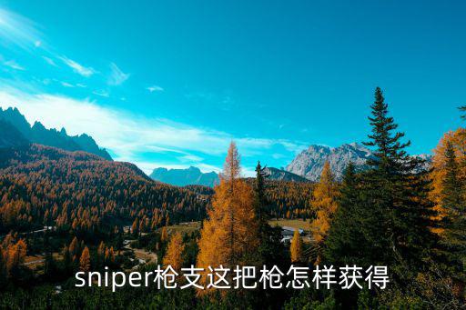 sniper枪支这把枪怎样获得