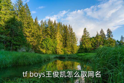 tf boys王俊凯怎么取网名