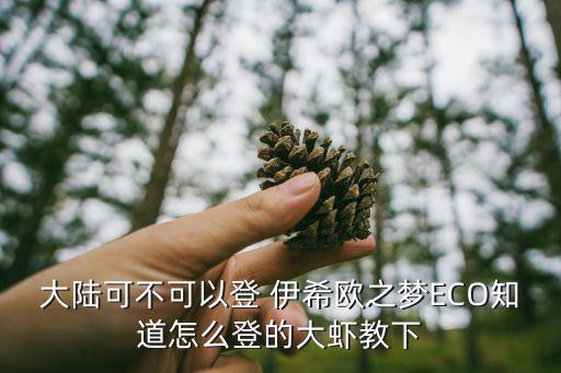 大陆可不可以登 伊希欧之梦ECO知道怎么登的大虾教下