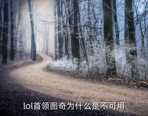 lol首领图奇为什么是不可用