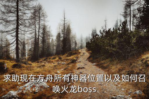 求助现在方舟所有神器位置以及如何召唤火龙boss