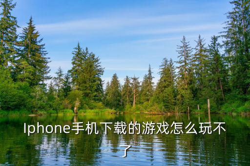 Iphone手机下载的游戏怎么玩不了