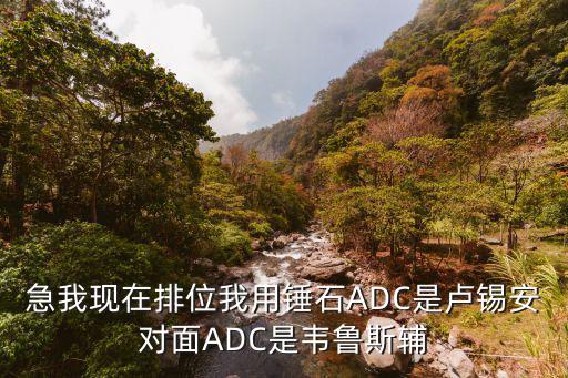 急我现在排位我用锤石ADC是卢锡安对面ADC是韦鲁斯辅