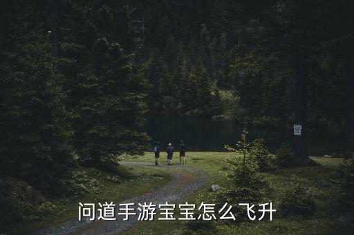 问道手游宝宝怎么转门派，问道手游宝宝怎么让变1级